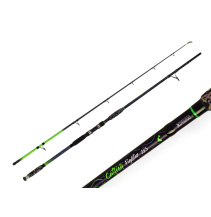 ZFISH Prut Catfish Fighter 2,85/ 100-300g